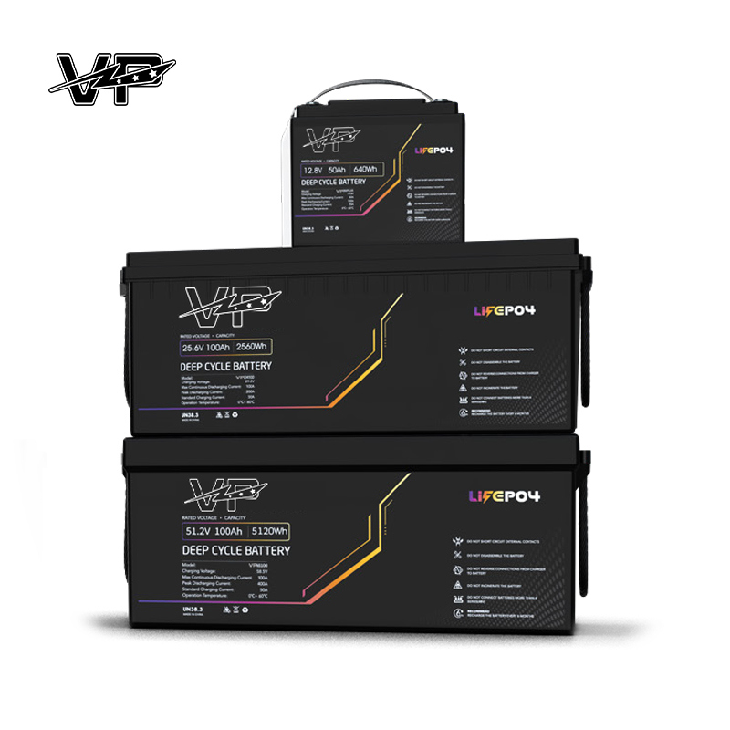 51.2V 100AH Smart Solar VP Batteries Lithium iron Phosphate Pack for Electric Power Systems