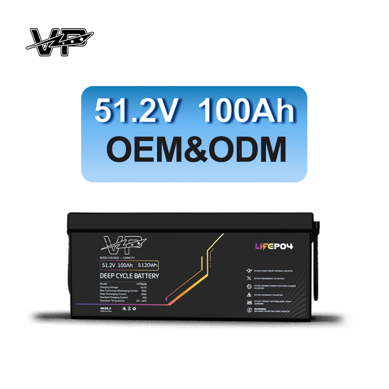 51.2V 100AH Smart Solar VP Batteries Lithium iron Phosphate Pack for Electric Power Systems