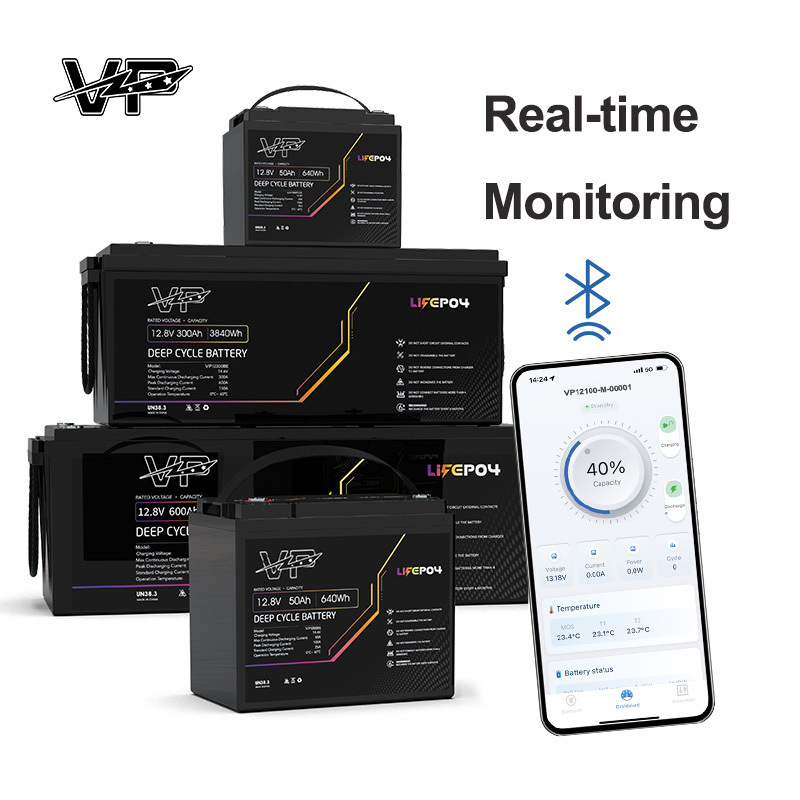 12V 50Ah LiFePO4 Auto Rechargeable Lithium Ion VP Custom Battery Pack With Smart BMS