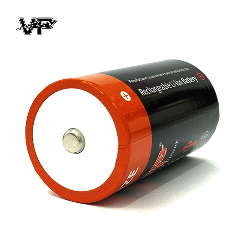Bulk Buy D Size USB C Rechargeable Lithium Battery High Capacity 6000 mWh | Heavy Duty OEM Supplier