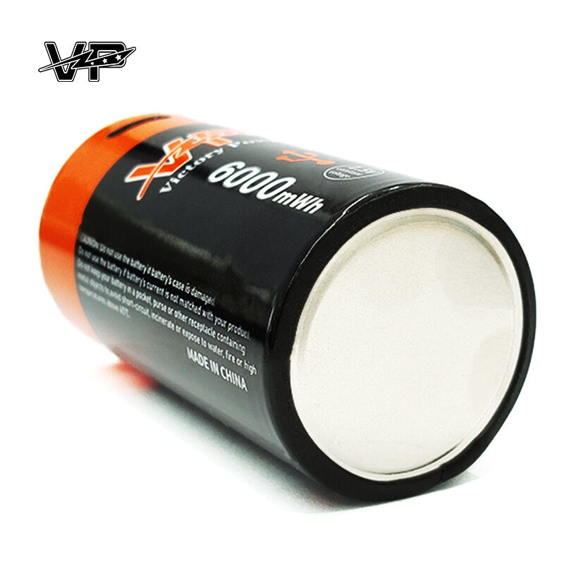 Bulk Buy D Size USB C Rechargeable Lithium Battery High Capacity 6000 mWh | Heavy Duty OEM Supplier